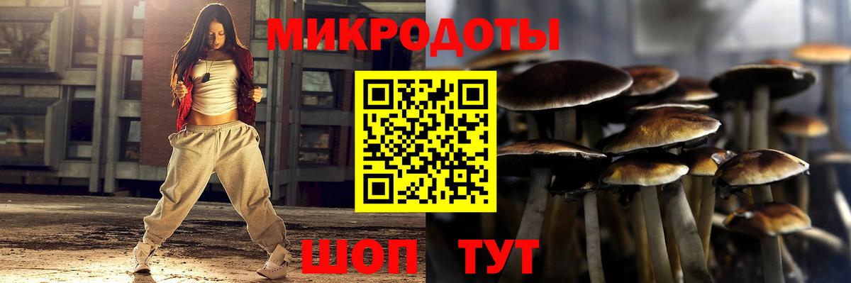 Псилоцибиновые грибы прущие грибы Кизляр