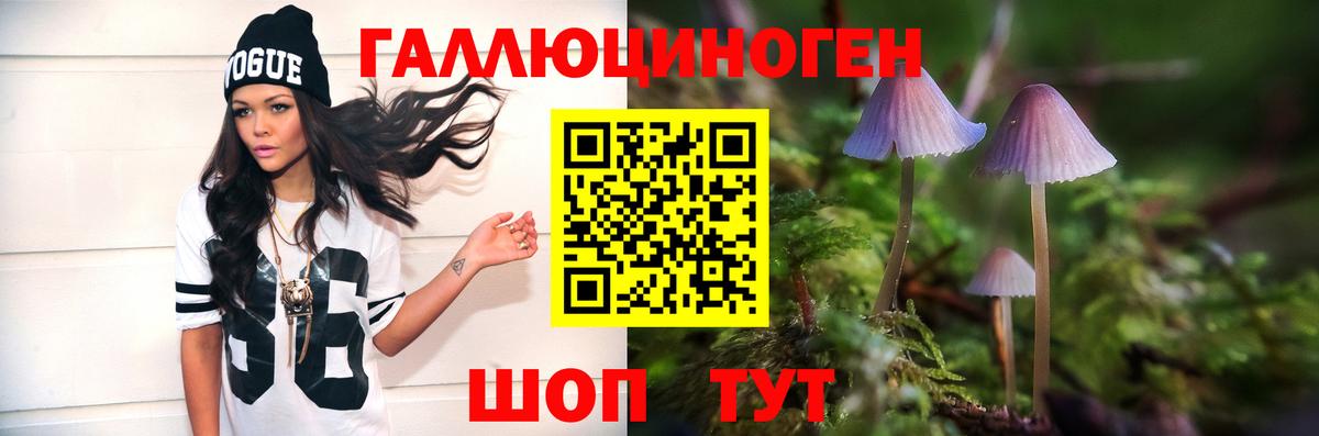 Галлюциногенные грибы Psilocybine cubensis  Вход с VPN  Кизляр 